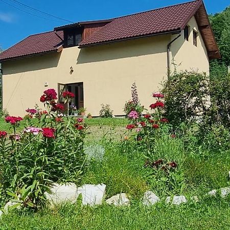 Pensiunea ,,Suciu" Rachitele Exteriér fotografie