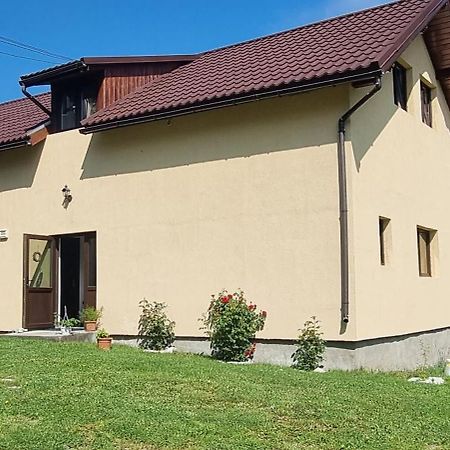 Pensiunea ,,Suciu" Rachitele Exteriér fotografie