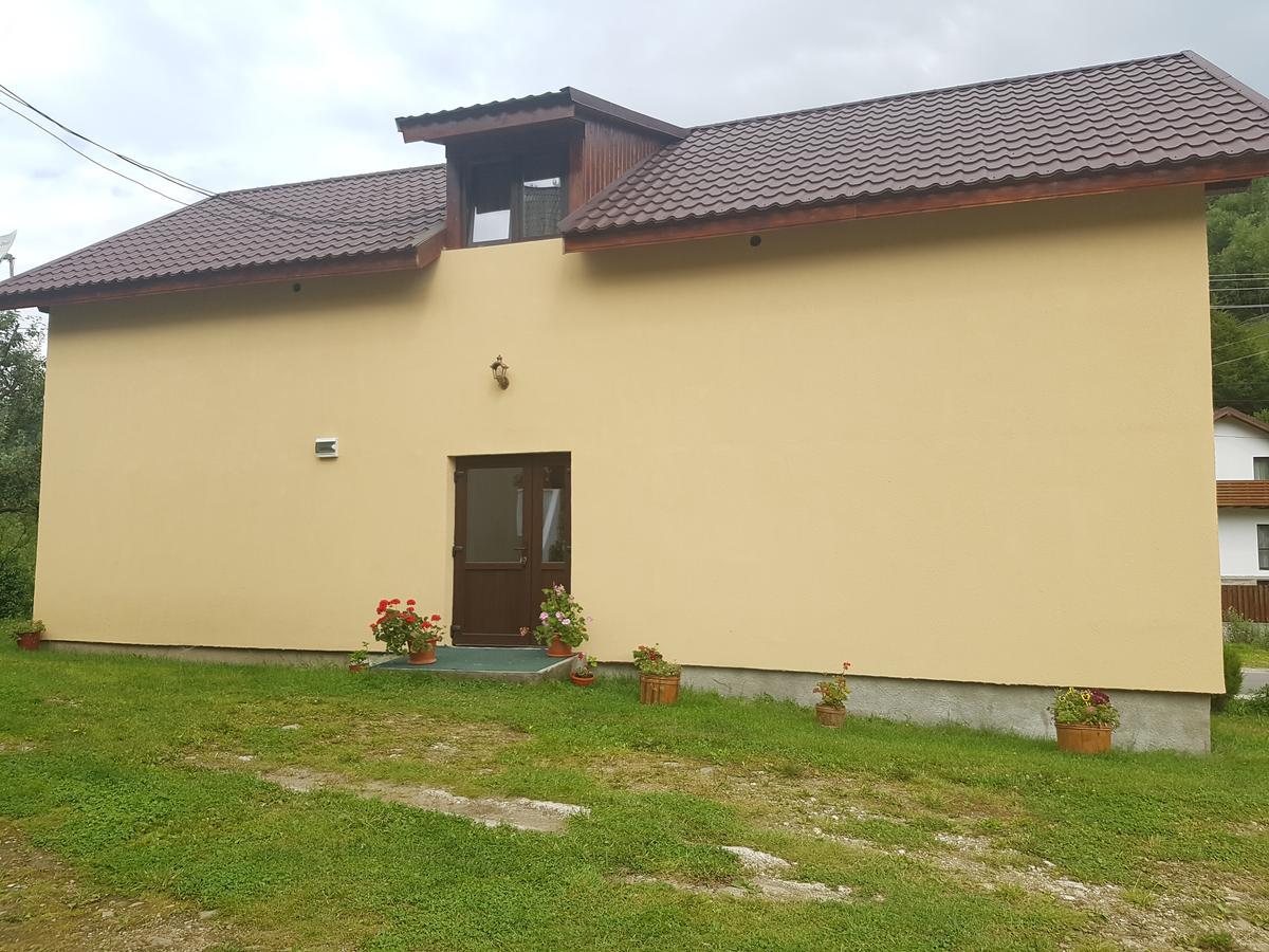 Pensiunea ,,Suciu" Rachitele Exteriér fotografie