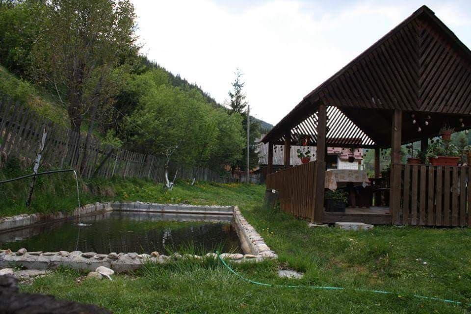 Pensiunea ,,Suciu" Rachitele Exteriér fotografie